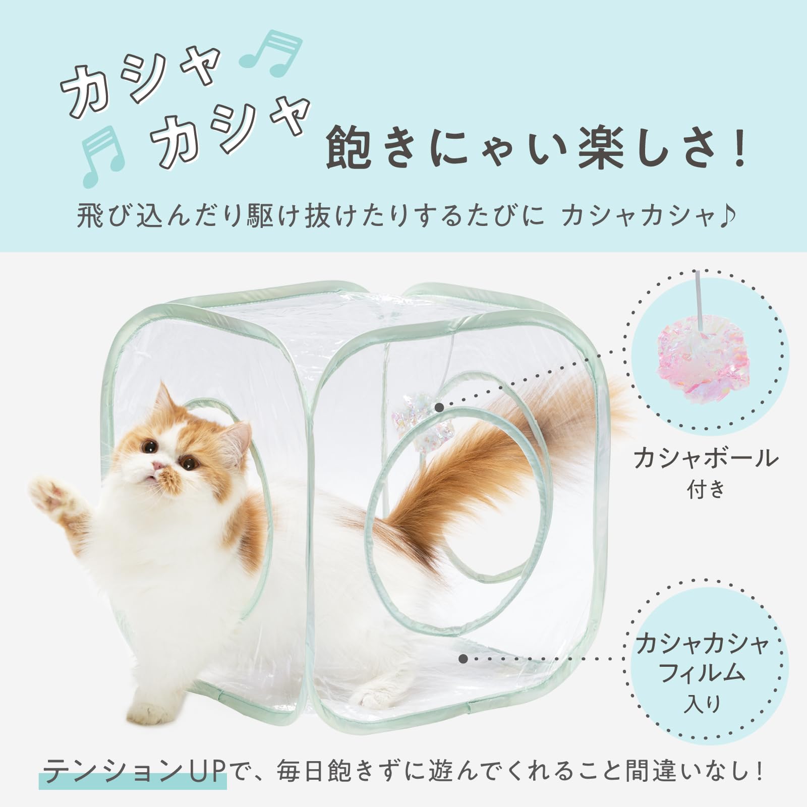 Amazon.co.jp: 猫壱 キャットプレイキューブ クリア : ペット用品